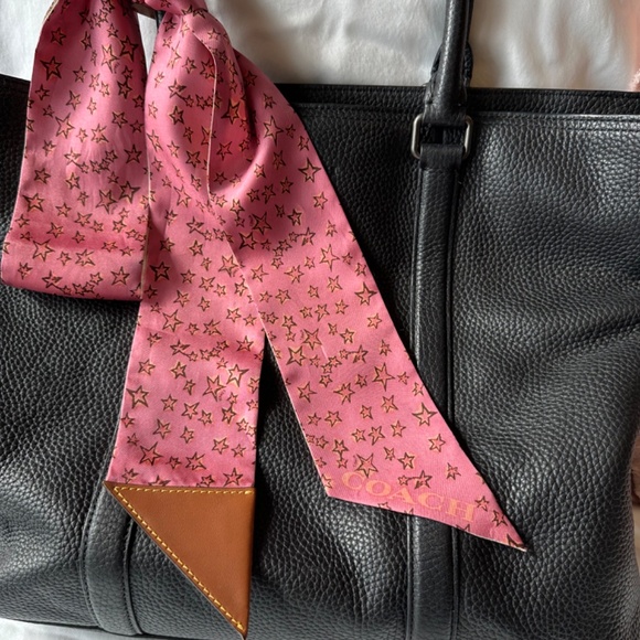 Silk Coach Scarf - Picture 4 of 12